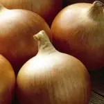Onion Rijnsburger is an excellent Dutch variety with beautiful firm straw coloured skin, pure white flesh and a good flavour.