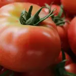 Tomato 'Berner Rose' Organic-18710