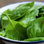 Spinach 'Matador'-18798