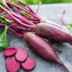 Beetroot 'Forono' Organic-0