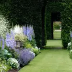 In the border, placed with white and lavender flowers, they are simply beautiful.