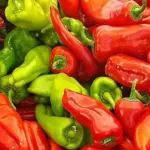 Think of the Cubanelle like a sweeter, more flavourful bell pepper.