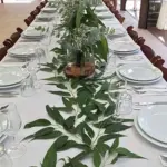 With a good branching form - it produces loads of leaves that are perfect for flower arranging.