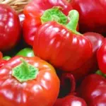 They have an excellent fruity taste and can be used as you would a regular sweet pepper.