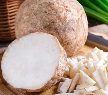 Celeriac 'Verona'-0