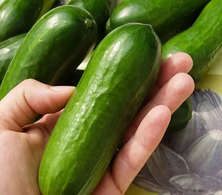 Cucumber 'F1 Iznik'-0