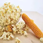 Corn, Popcorn 'Plomyk' -0