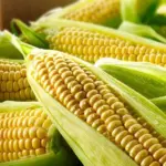 Sweetcorn 'Tasty Sweet F1' is a great, early, super sweet and delicious variety.