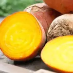 Beetroot, Golden 'Boldor F1' -0