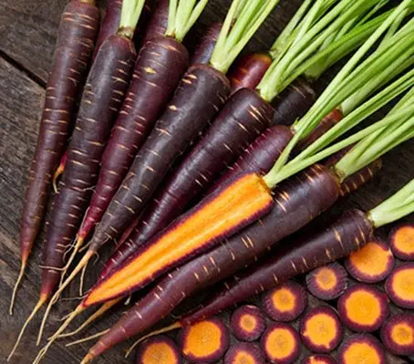 Carrot 'Lila Lu Sang' is a stunning deep purple carrot with a vibrant orange centre and a pleasant sweet taste.