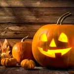 Bright orange, smooth-skinned pumpkins grow to around 15 to 18cm (6 to 7in) in diameter