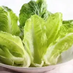 ‘Crisp Mint’ can be cut even in hot weather and won’t wilt or droop before you get it home.