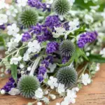 Omphalodes linifolia alba-20599