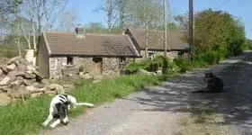 Where we first started online seeds