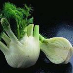 Florence Fennel 'Selma' is a fine-looking cultivar bred for strong, uniform bulbs and bolt resistance.