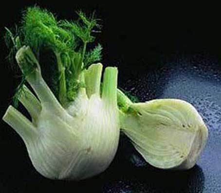Florence Fennel 'Selma' is a fine-looking cultivar bred for strong, uniform bulbs and bolt resistance.