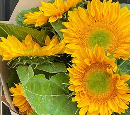 Perfectly shaped blooms with overlapping, rounded glowing petals and a matching golden centre.