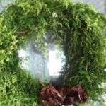 Sweet Annie has been used for centuries in its dried form in wreaths